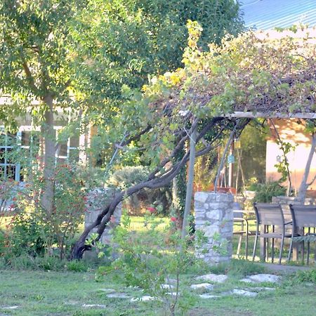 Mas Du Petit Claux Hotel Barbentane Ngoại thất bức ảnh