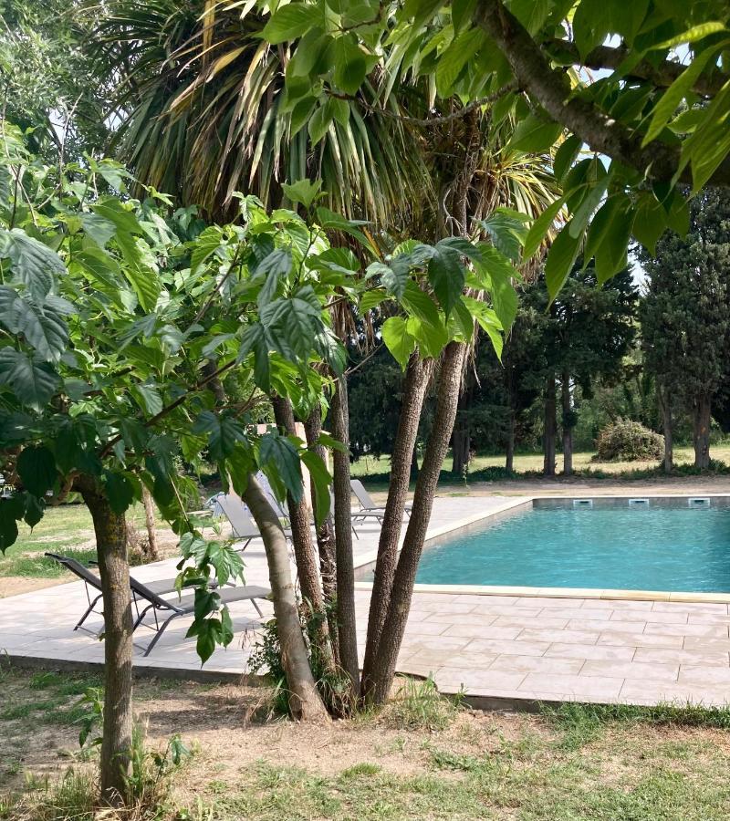 Mas Du Petit Claux Hotel Barbentane Ngoại thất bức ảnh